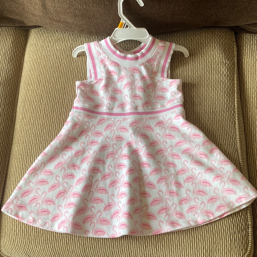 Janie and jack toddle dress 2T